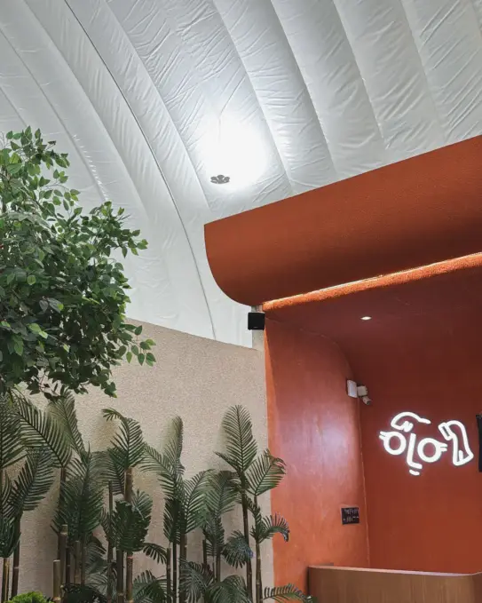 Terracotta wall with palms and the YOLO mark