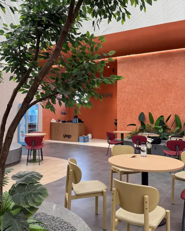 Café tables under a tree