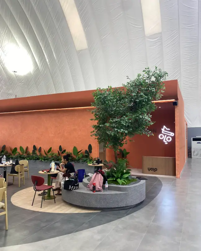 Seating around a planted tree by the terracotta wall