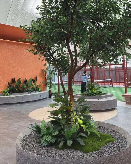 An indoor tree planted in a round bed